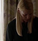 homeland-8x12-0544.jpg